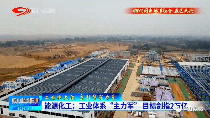 揭秘山东化工原料生产基地：产业布局与优势解析